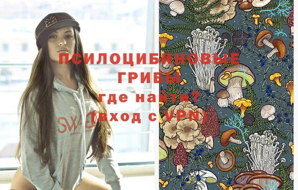амф Алексеевка
