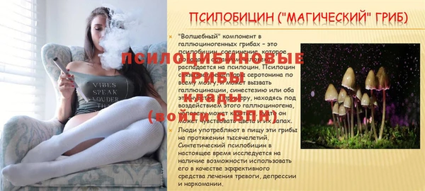кокаин Алексин